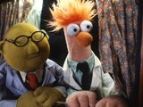 Bunsen and Beaker's relationship