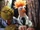 Bunsen and Beaker's relationship