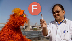 MurrayF02.png