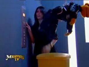 Scooter coming to Anggun's rescue on Muppets TV.