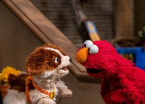 Tango (puppy) | Muppet Wiki | Fandom