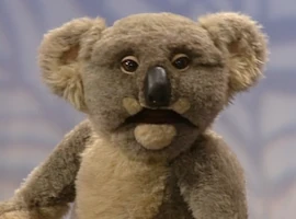 Flora the Koala from The Animal Show