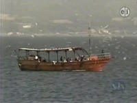 Sea of Galilee"It's Passover, Grover!"