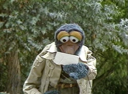 TMS promo Australia Gonzo