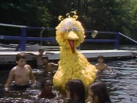 Swimming Episode 1708