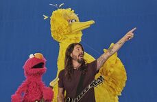 Dave Grohl 2 - Sesame50
