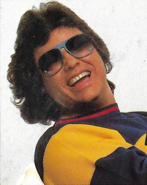 ronnie milsap songs blind