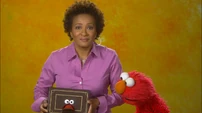 Wanda Sykes: Journal