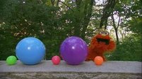 Murray Elmo Tune-in: "Guess What's Next" - Balls