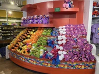 Inside Hooper's Gift Shop 2.jpg (527 KB)