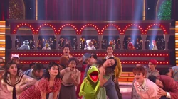 Kermitarchesdancingstars