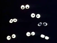 MB103-EyesInTheDark.png (117 KB) Kermit, Fozzie, Scooter, Piggy, Skeeter, Beaker, and BunsenMuppet Babies, "Who's Afraid of the Big, Bad Dark?"