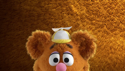 MB2018-Fozzie01