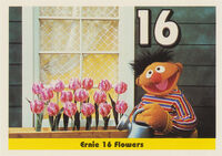 17: Ernie 16 Flowers