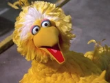 Big Bird filmography