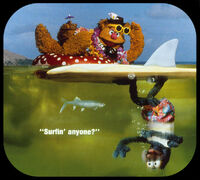 B4 The Great Gonzo, Underwater Surfer