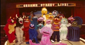 The show's Muppet cast.