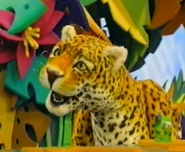 AnimalShowS3-Jaguar.jpg (87 KB)