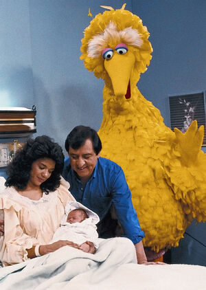 sesame street 1989