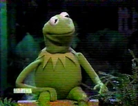 Green-Martha.jpg