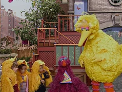 "Let's All Flap Together"