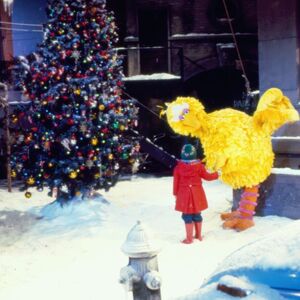 Big Bird and Patty Experience the Tree