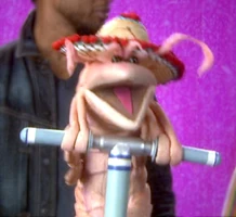 shrimp in Word of the Day: Unique