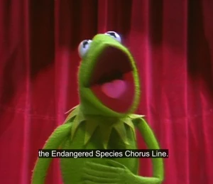 Kermit introduces the Endangered Species Chorus Line on The Muppet Show