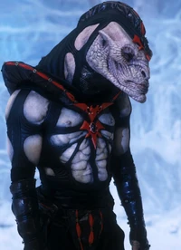 Plonek-portrait.jpg (341 KB) Plonek