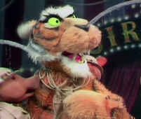 Episode 416 of The Muppet Show