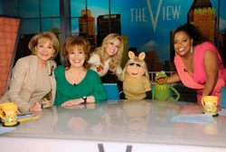 The View 2012-03-14