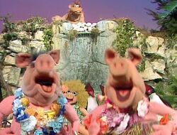 Pigs, Muppet Wiki