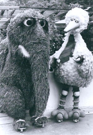 Big bird's birthday 2.jpg