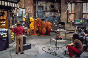 Big Bird and Snuffy, Season 3