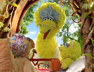 Top 13 'Sesame Street' Characters Ranked: From Elmo to Mr Snuffleupagus  (Photos) - TheWrap