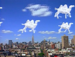 CamelClouds