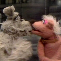 Dogs The Muppet Show episode 501