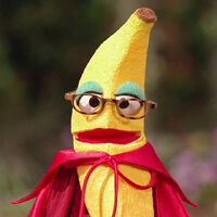 The Super Foods Banana