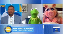 GMAPiggyKermitStrahan