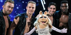 Piggy dwts guys