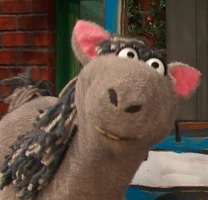 horse in Episode 4915