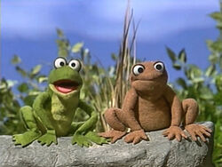 a frog and toad