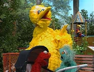 Big Bird and Rosita sing to their pretend baby (Elmo).