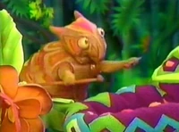 Aart, Live in concert!