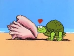 TurtleSeashell.jpg (152 KB) Turtle Love
