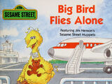 Big Bird Flies Alone
