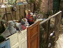 Vlcsnap-2018-03-02-16h33m01s508