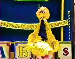 Big bird abcs 8