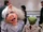 The Muppets Take Manhattan promotional appearances
