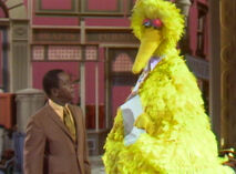 Big Bird talks with Flip in the first episode.